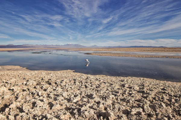 Salar de Atacama